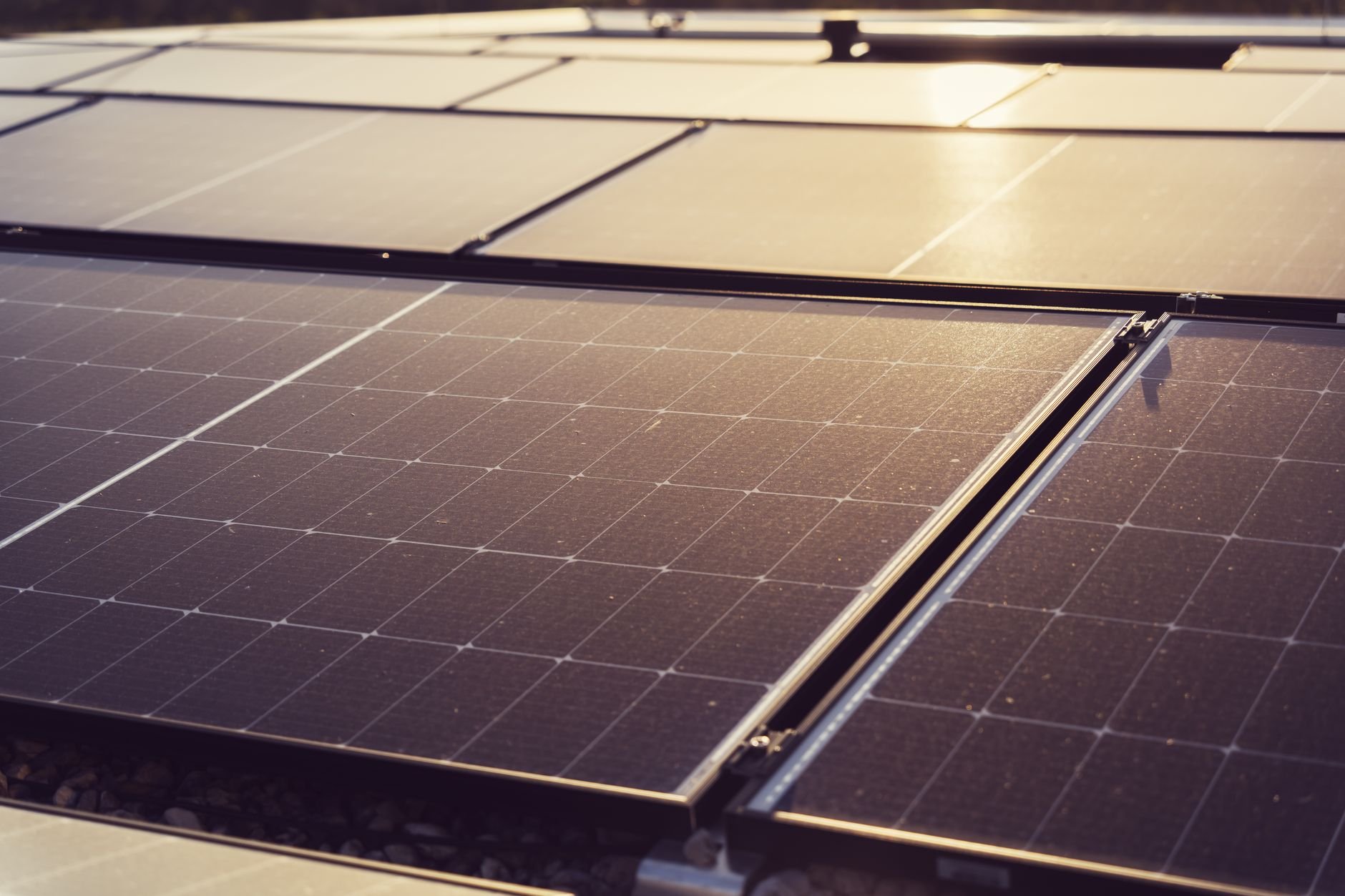 Close view of dark solar panel cells on a sunlit array with a warm glow across the panel surfaces