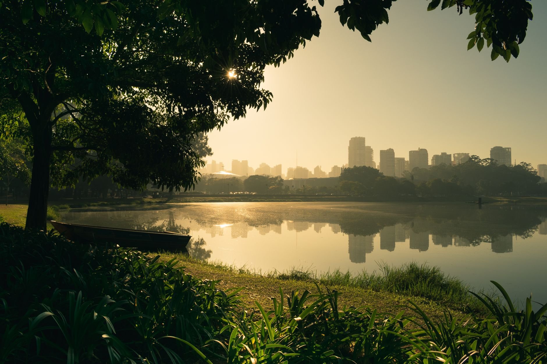 Sunrise light glowing through haze over a calm lake, with a row of city towers reflected in the water and a tree and grassy bank in the foreground