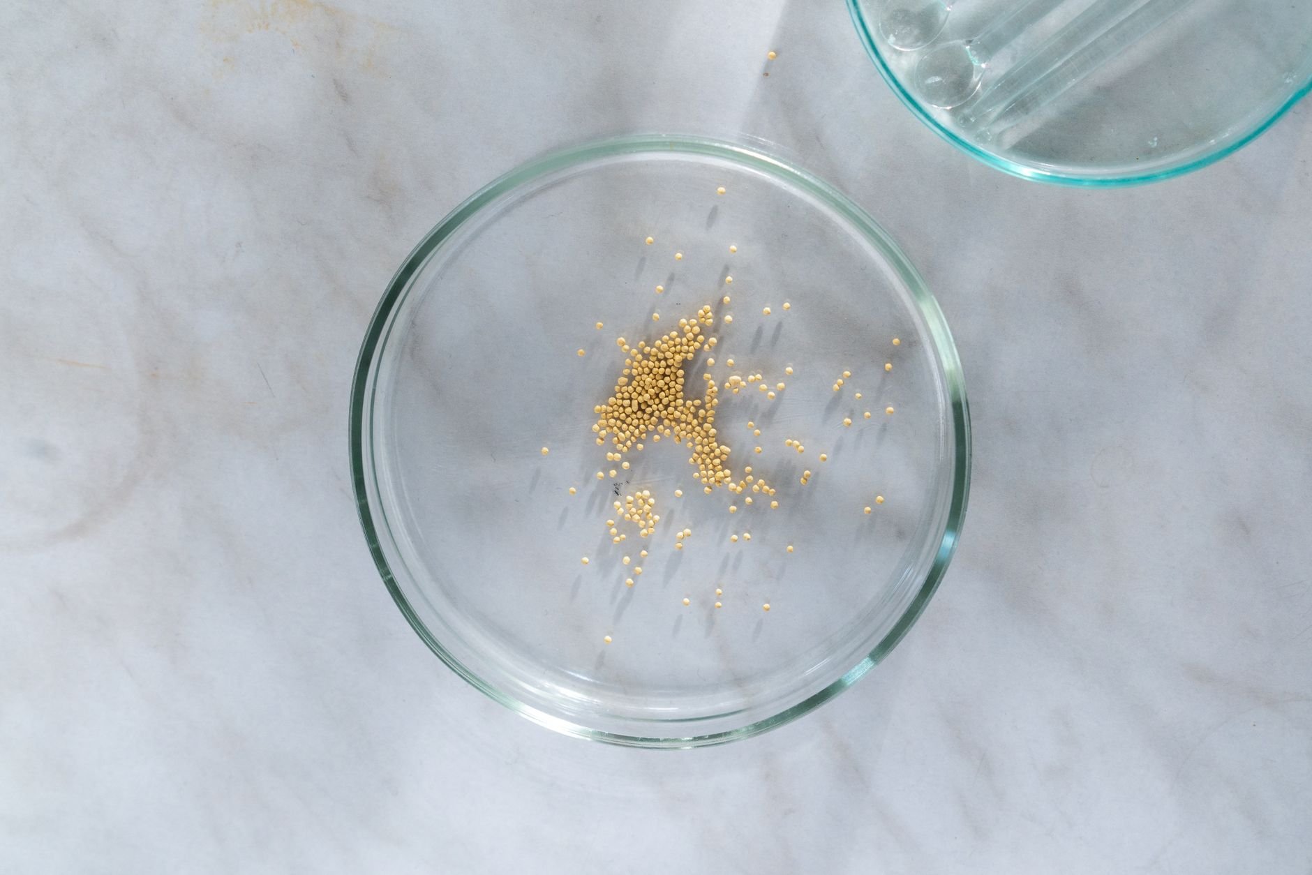Small clear glass dish holding golden seeds on a marble surface