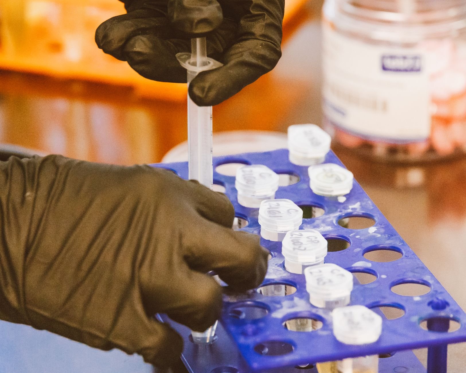 Gloved hand using a pipette to fill small white-capped vials in a blue rack