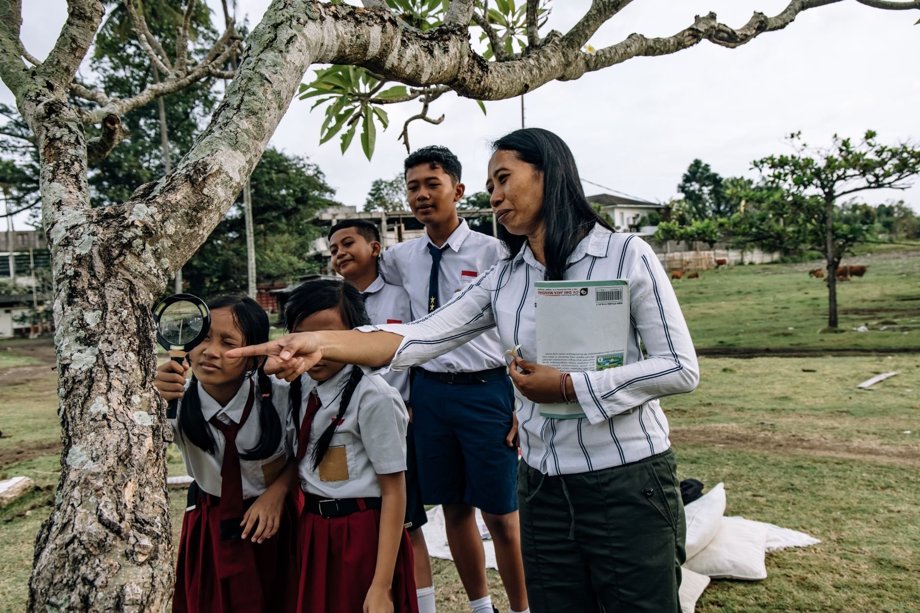 A teacher in a striped shirt points at a tree trunk while a girl in a school uniform holds a magnifying glass to the bark, with other students standing nearby