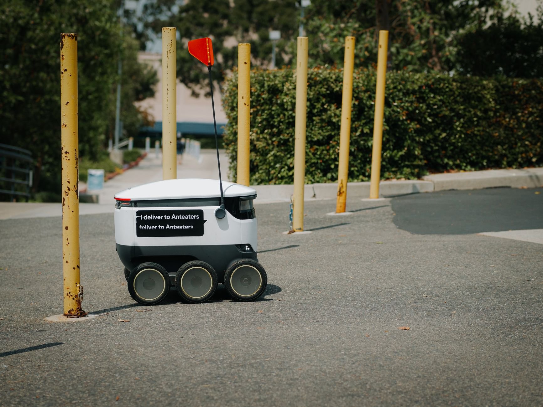 Small white wheeled delivery robot with a red flag antenna on a paved path beside yellow bollards and hedges