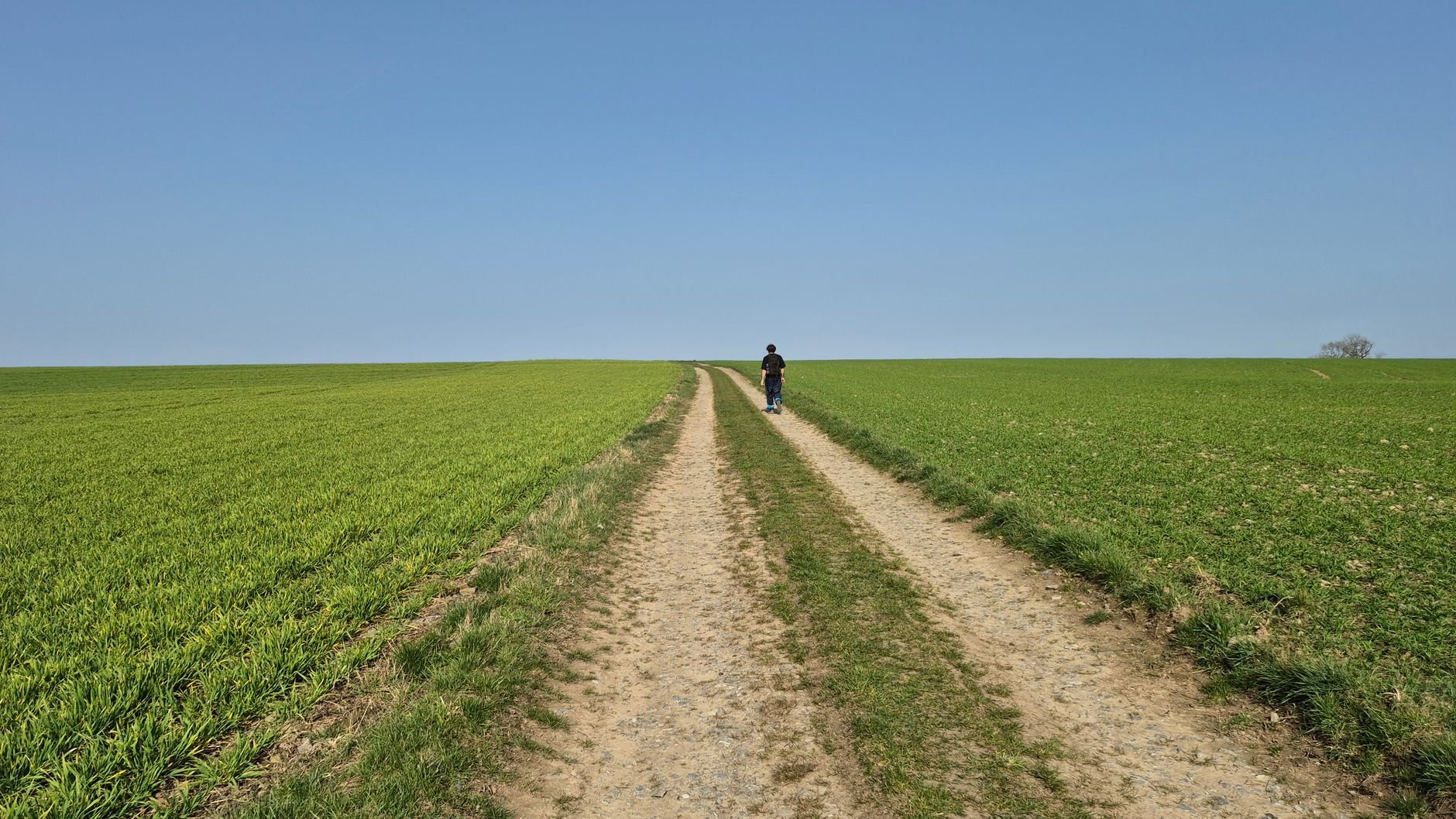 A gravel farm track running between green crop fields toward a distant horizon, with one walker in dark clothing on the track under a clear blue sky