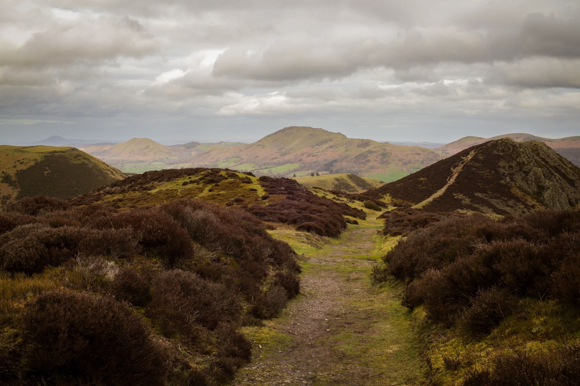 Narrow footpath running through heather toward rolling hills under cloud