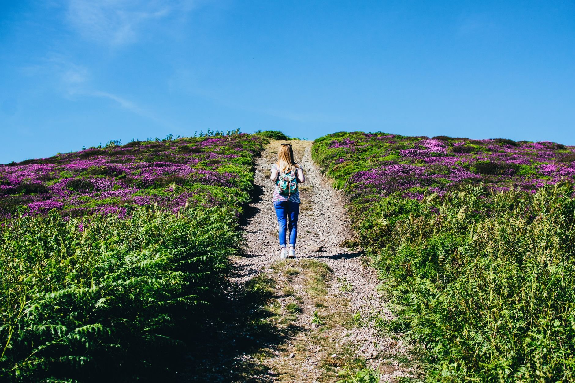 Walker with a backpack heading up a gravel path between heather-covered slopes